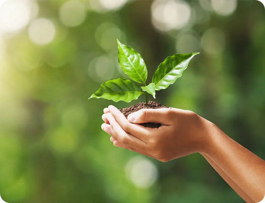 Produits médicaux Cie., Ltd de Jiangsu Dingshun.